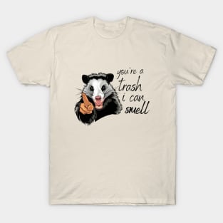 You are a Trash I can smell Sarcasm T-Shirt